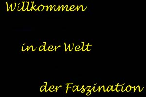 Messershow, Messerwerfen, Bhnenshow